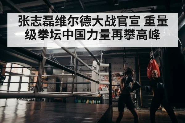 张志磊维尔德大战官宣 重量级拳坛中国力量再攀高峰